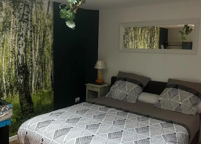 Appartement Centre Ville Calais Ines